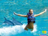 Nado con delfines Supreme Experience